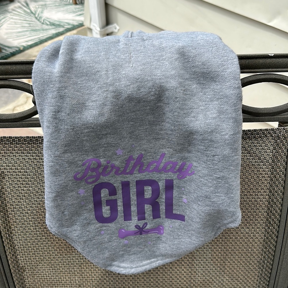 Hooded Sweatshirt